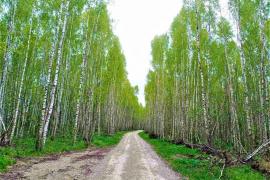 Продается дом 180 кв м.с  участком  20 соток  в деревне Добринка .