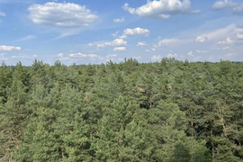 2-к. квартира, 66,2 м², 11/19 эт.