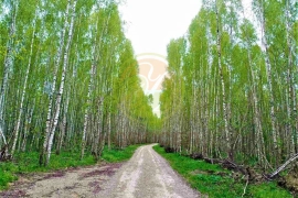 Продается дом 180 кв м.с  участком  20 соток  в деревне Добринка .