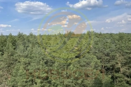 2-к. квартира, 66,2 м², 11/19 эт.